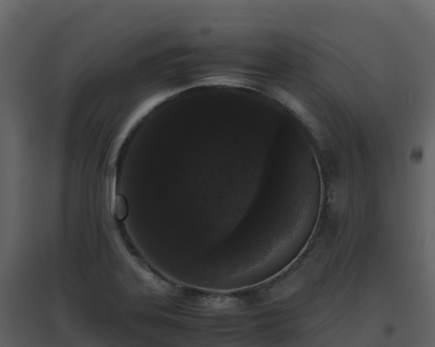 X0000096651323200802121124