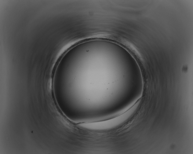 X0000096651324200802121124