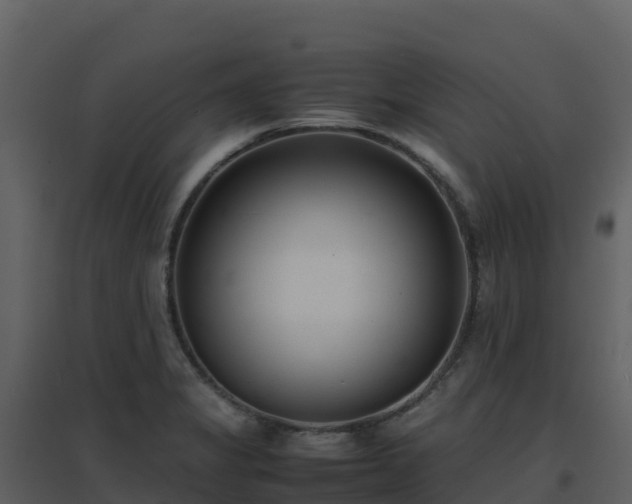 X0000096651325200802121124