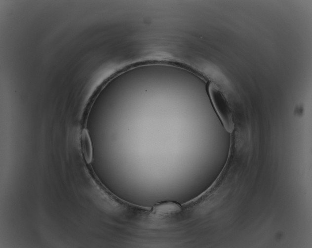 X0000096651326200802121124