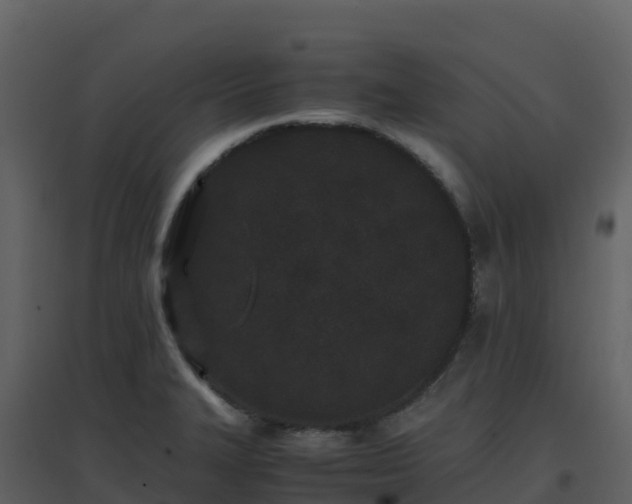 X0000096651327200802121124