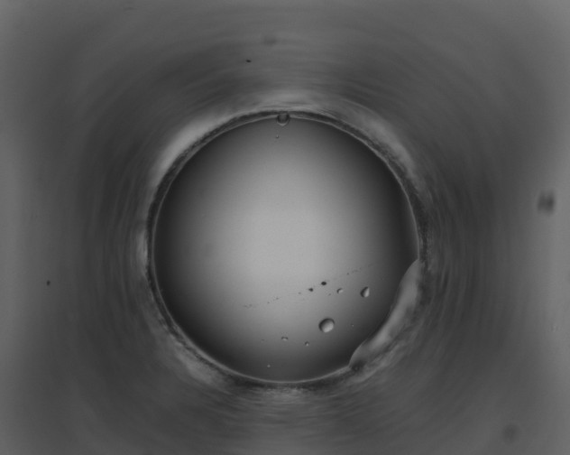 X0000096651328200802121124