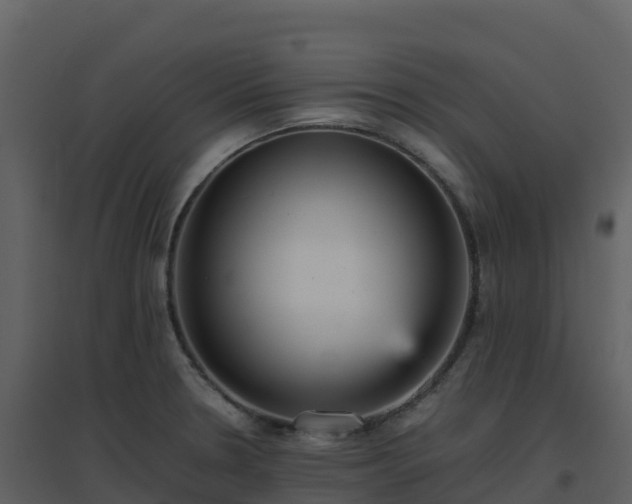 X0000096651330200802121124