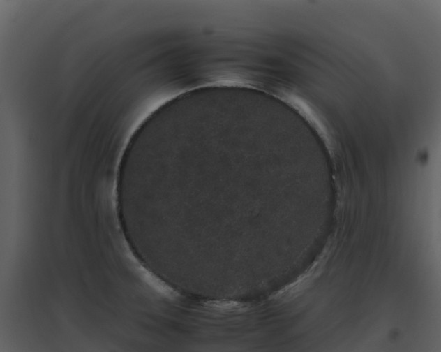 X0000096651331200802121124