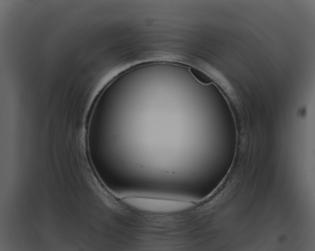 X0000096651332200802121124