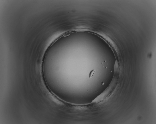 X0000096651333200802121124