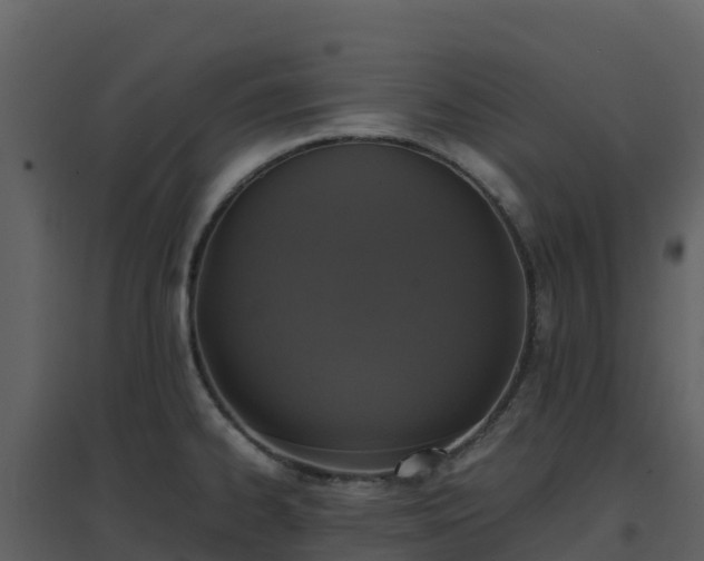 X0000096651334200802121124