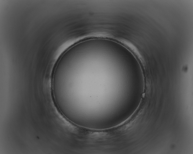 X0000096651335200802121124
