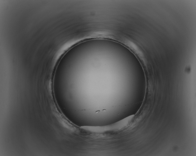 X0000096651336200802121124