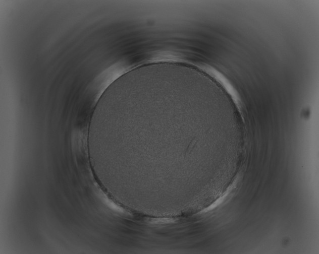 X0000096651337200802121124