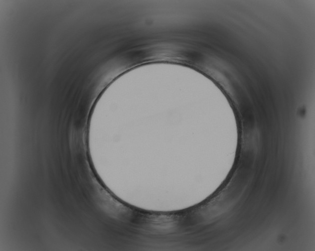 X0000096651338200802121124