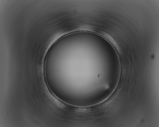 X0000096651339200802121124
