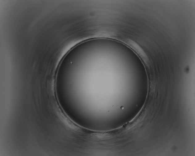 X0000096651340200802121124