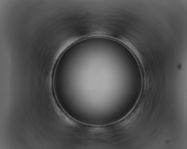 X0000096651341200802121124