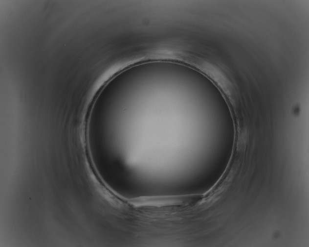 X0000096651342200802121124