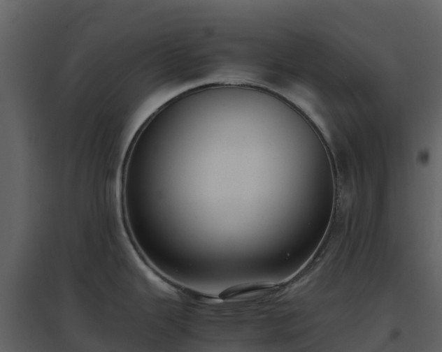 X0000096651343200802121124