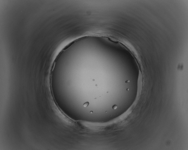 X0000096651344200802121124