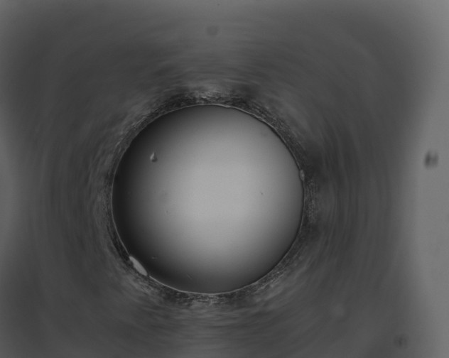 X0000096651345200802121123