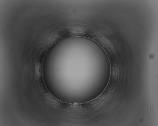 X0000096651346200802121123