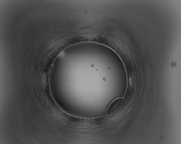 X0000096651347200802121123