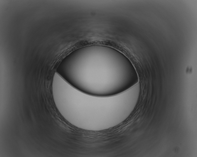 X0000096651348200802121123