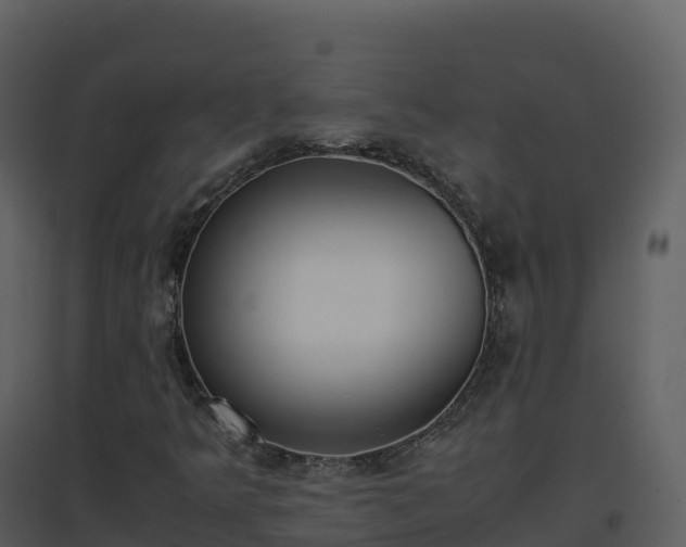 X0000096651349200802121123