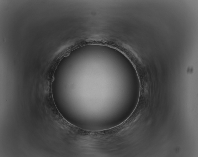 X0000096651350200802121123