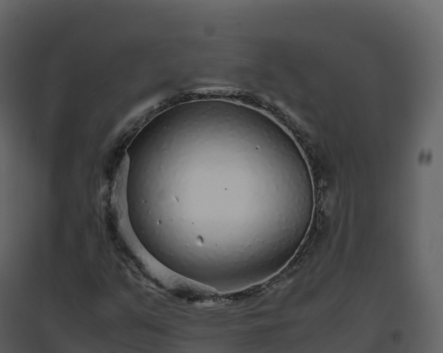X0000096651351200802121123