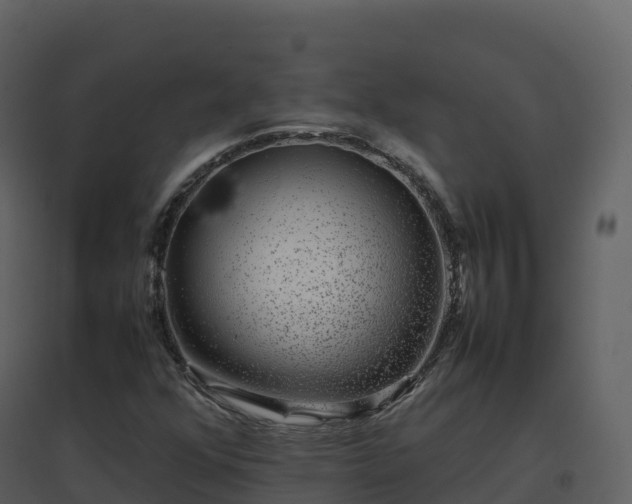 X0000096651352200802121123
