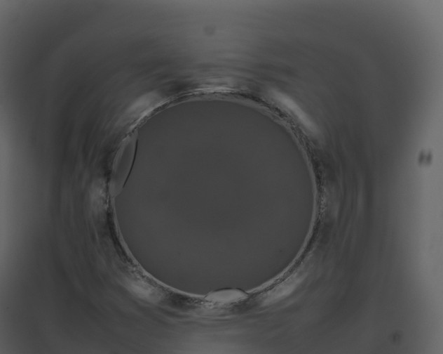 X0000096651353200802121123