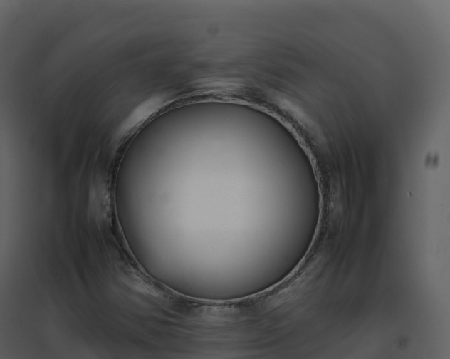 X0000096651354200802121123