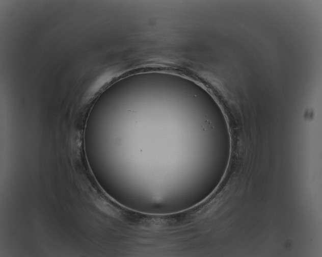 X0000096651355200802121123