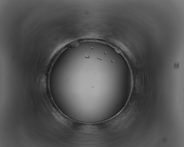 X0000096651356200802121123