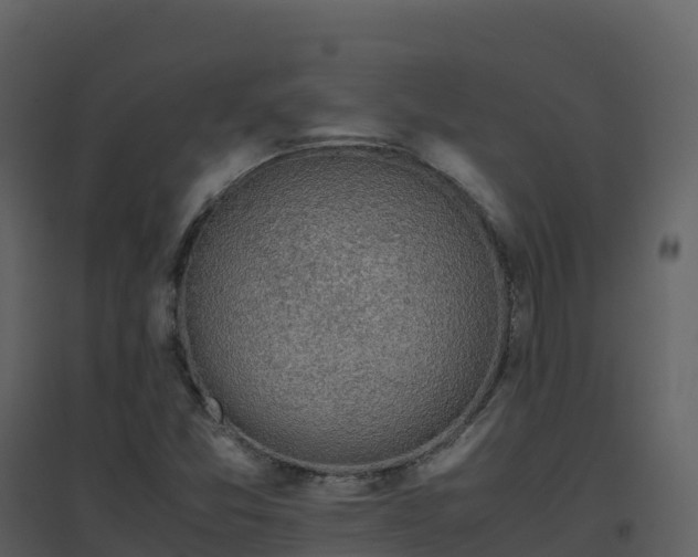 X0000096651357200802121123
