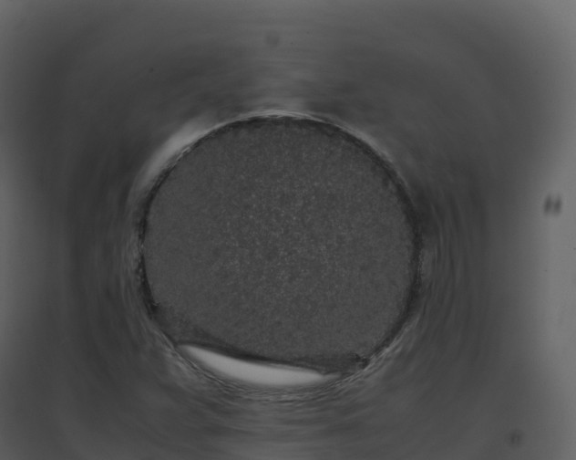X0000096651359200802121123