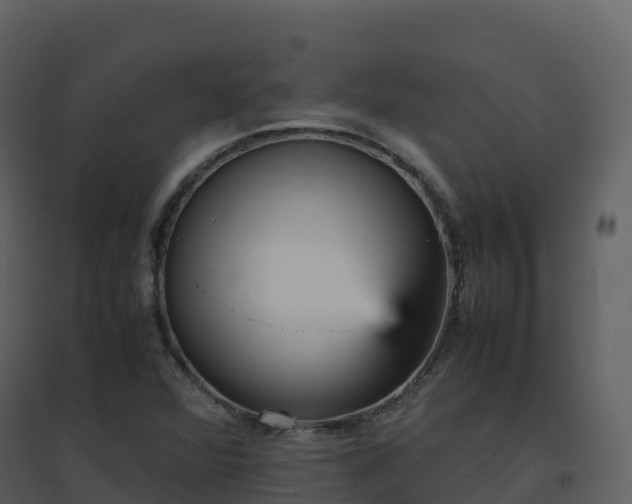X0000096651360200802121123