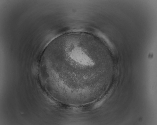X0000096651361200802121123