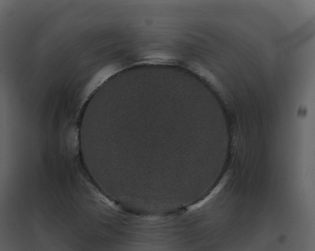 X0000096651362200802121123