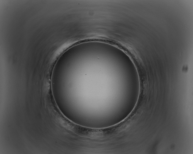 X0000096651363200802121123
