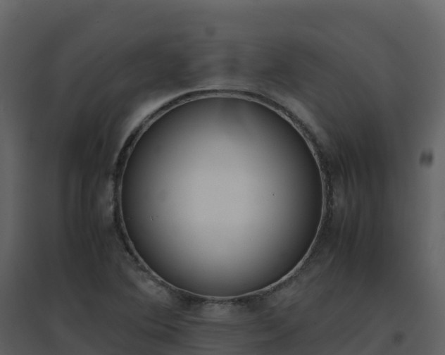X0000096651364200802121123