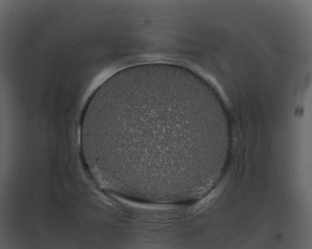 X0000096651365200802121123