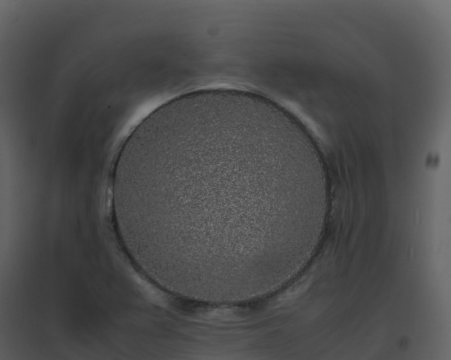 X0000096651367200802121123