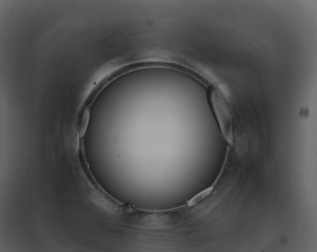 X0000096651368200802121123