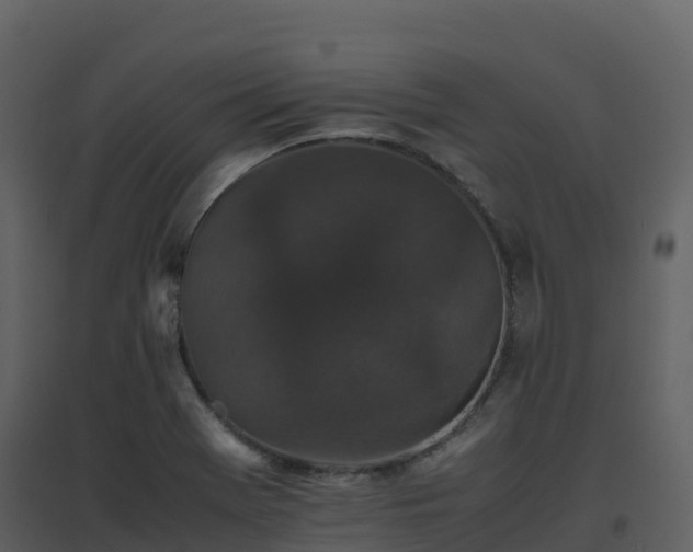 X0000096651369200802121123