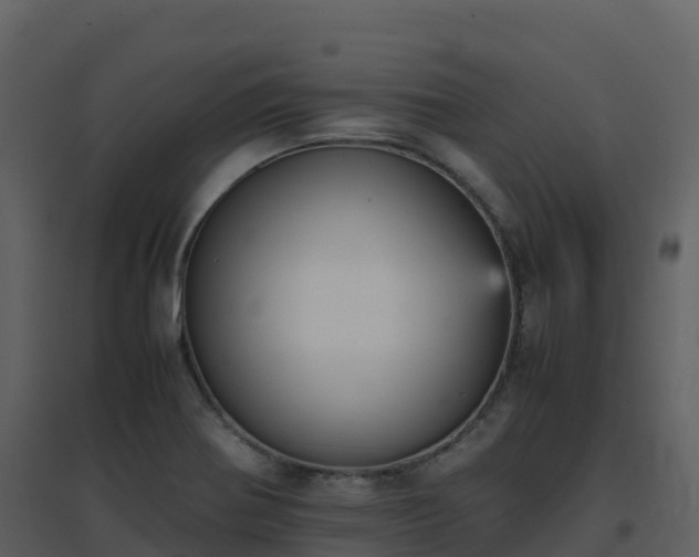 X0000096651370200802121123