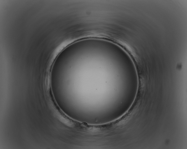 X0000096651371200802121123