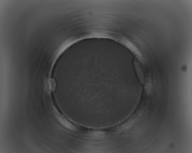 X0000096651372200802121123