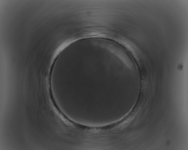 X0000096651373200802121123
