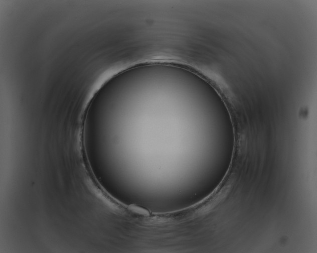 X0000096651374200802121123