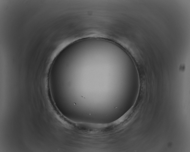 X0000096651375200802121123